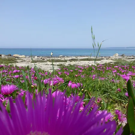 Casa Galli On Seafront For 2-4 Persons Сasa de vacaciones